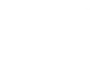 Wild Mage Games logo